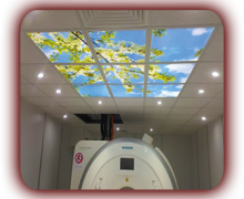 SIEMENS Referansları