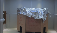 CID-5